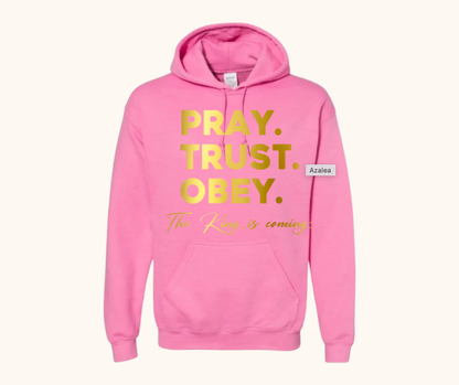 “Pray. Trust. Obey.” Hoodie — The King Is Coming