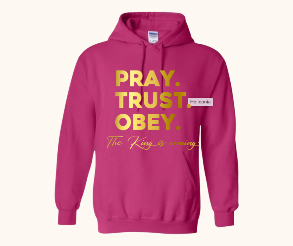 “Pray. Trust. Obey.” Hoodie — The King Is Coming