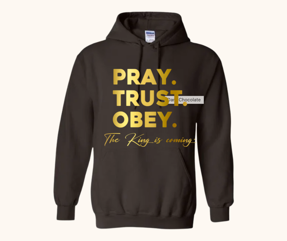 “Pray. Trust. Obey.” Hoodie — The King Is Coming