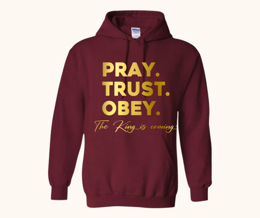 “Pray. Trust. Obey.” Hoodie — The King Is Coming